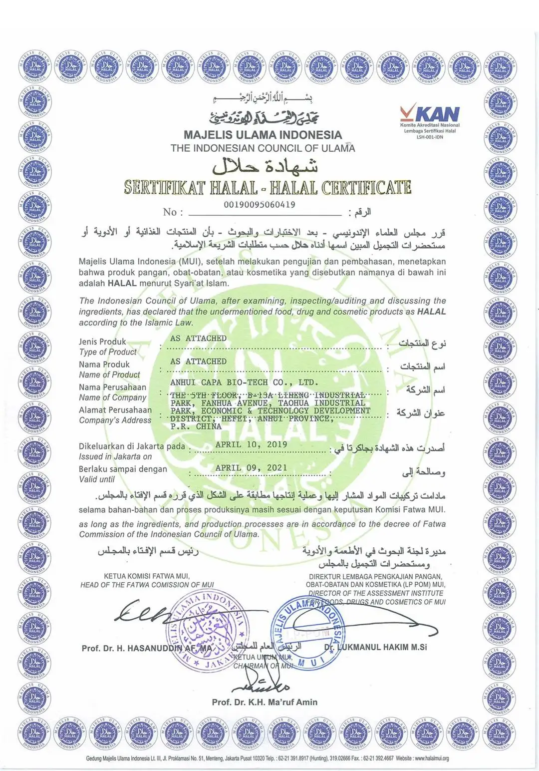 Professional Supplier Nature Ginger Oil with Competitive Price