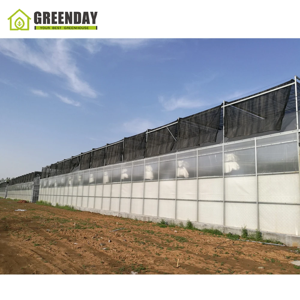 
GREENDAY Inside/ outside shading system agricultural film greenhouse 