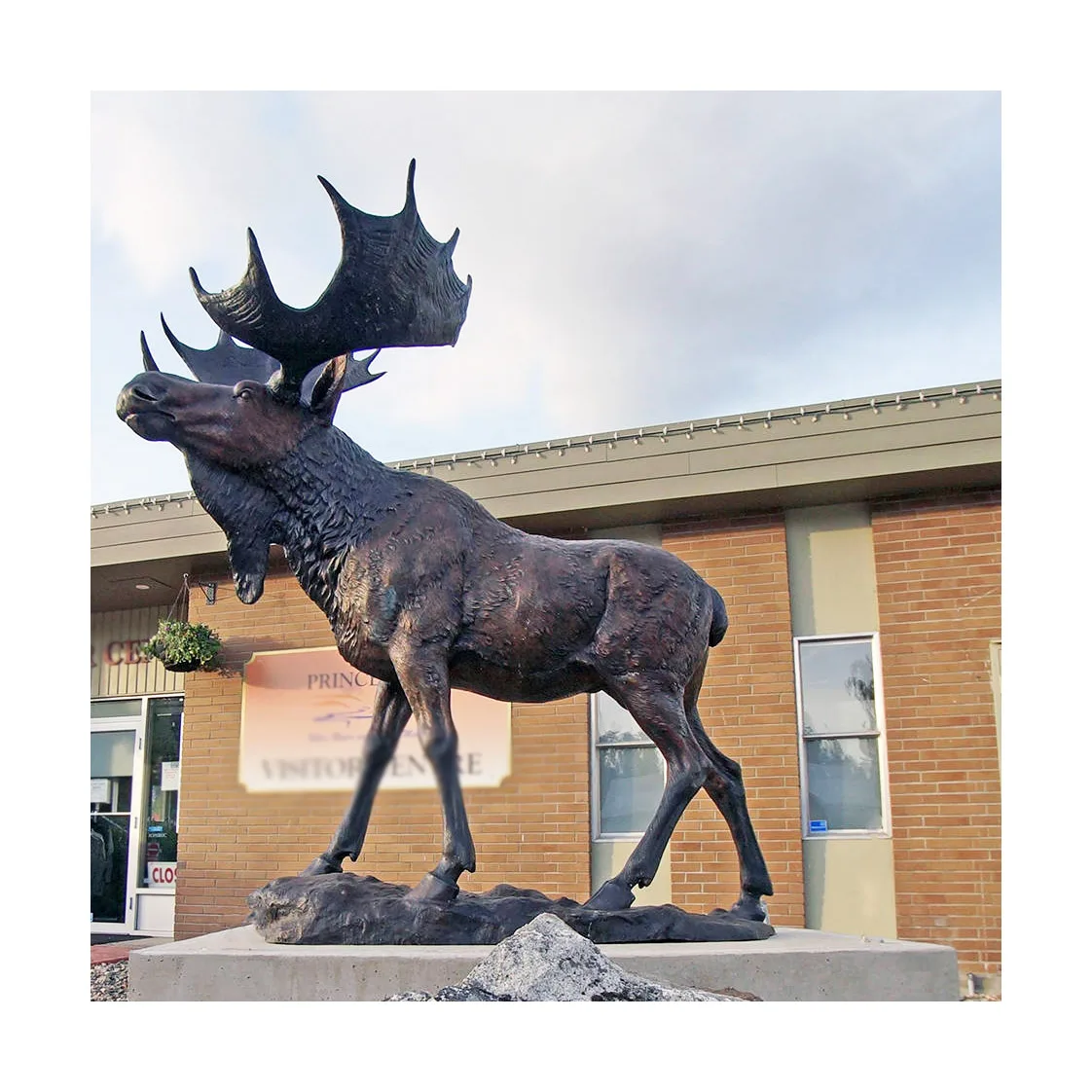 Life size outdoor garden the Woods bronze moose sculpture for sale