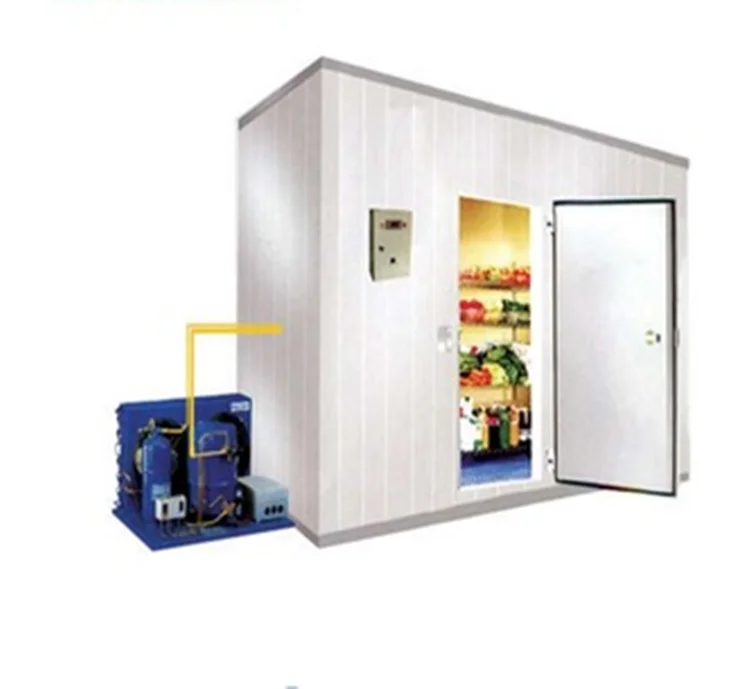 
Modular Refrigeration Cold Room For Fish Storage 