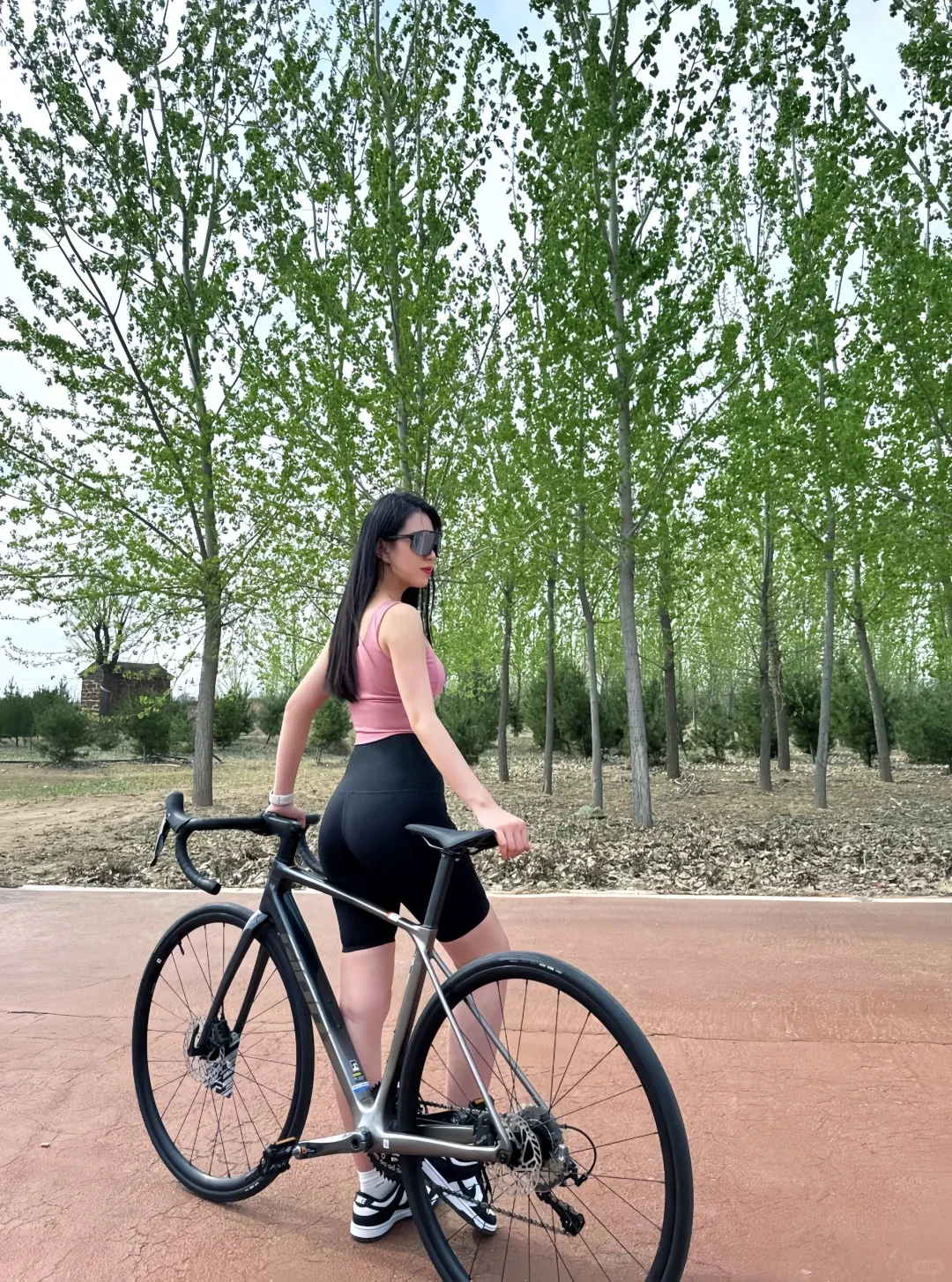 Free shipping high carbon steel frame bysicle bicycle 20 inch bycycle/bycicle/velo vtt cycle for men and women