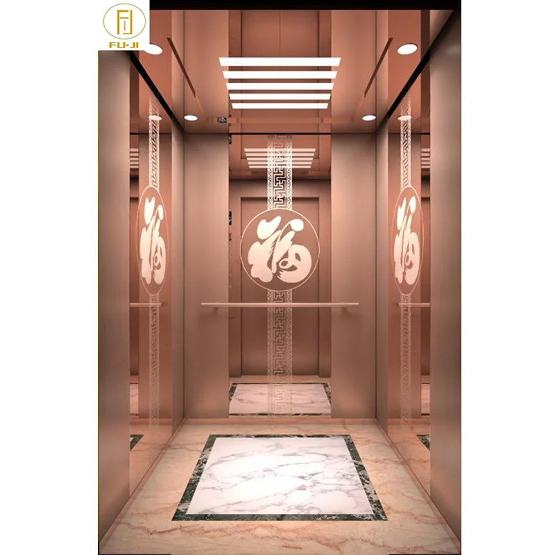 Fuji Elevator passenger Customised High Quality Elevato