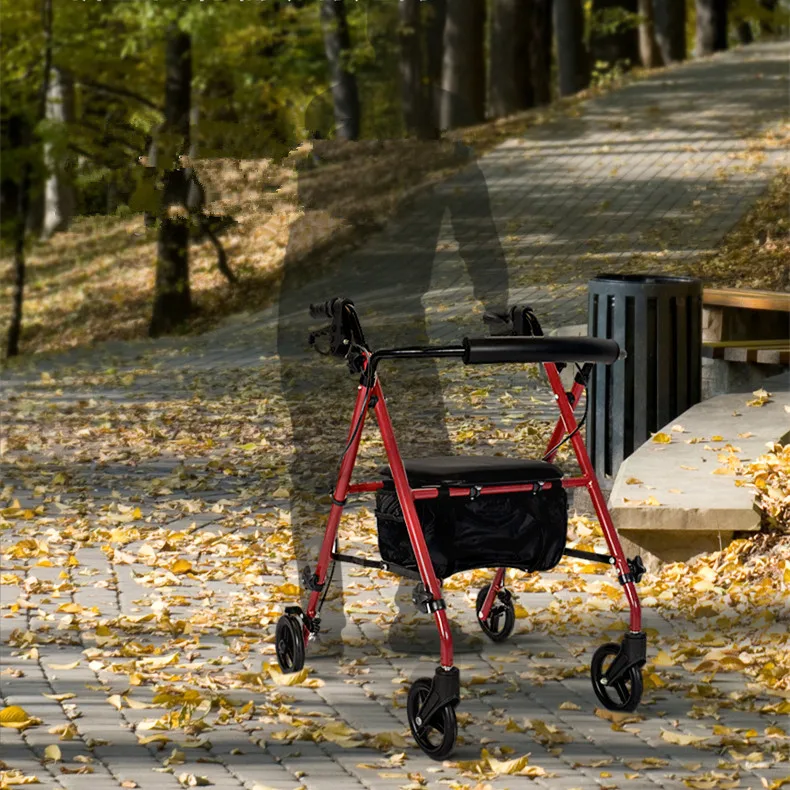 rollator walker.jpg