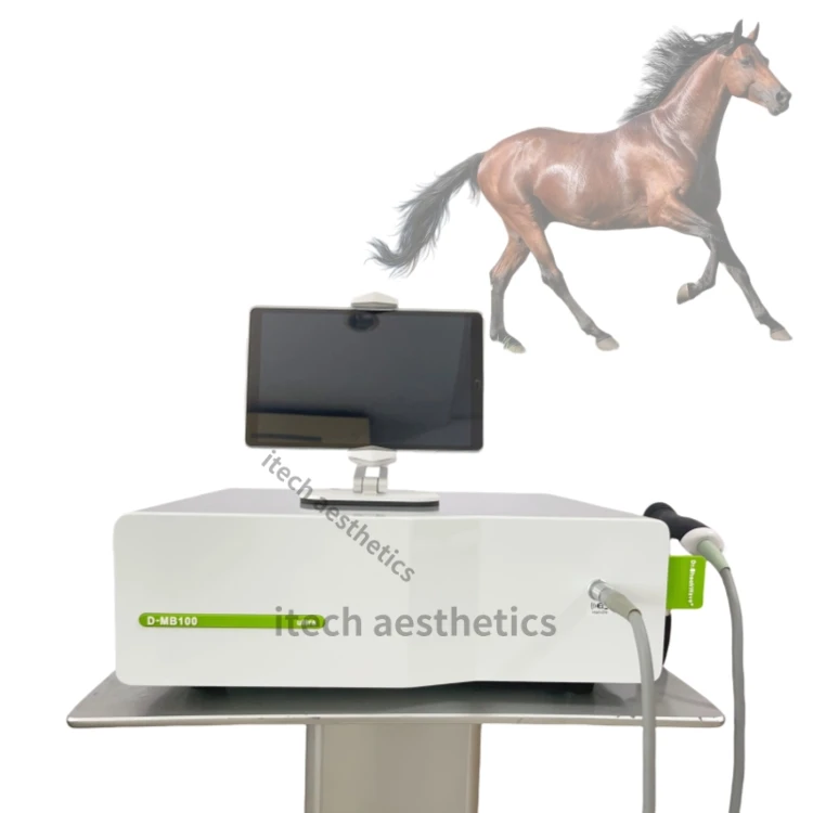 eswt shockwave therapy machine for human ed pain relief physiotherapy shock wave therapy equipment