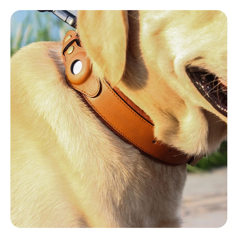 
Modern hardware metal buckle choker leashes luxury custom leather pet dog collars 