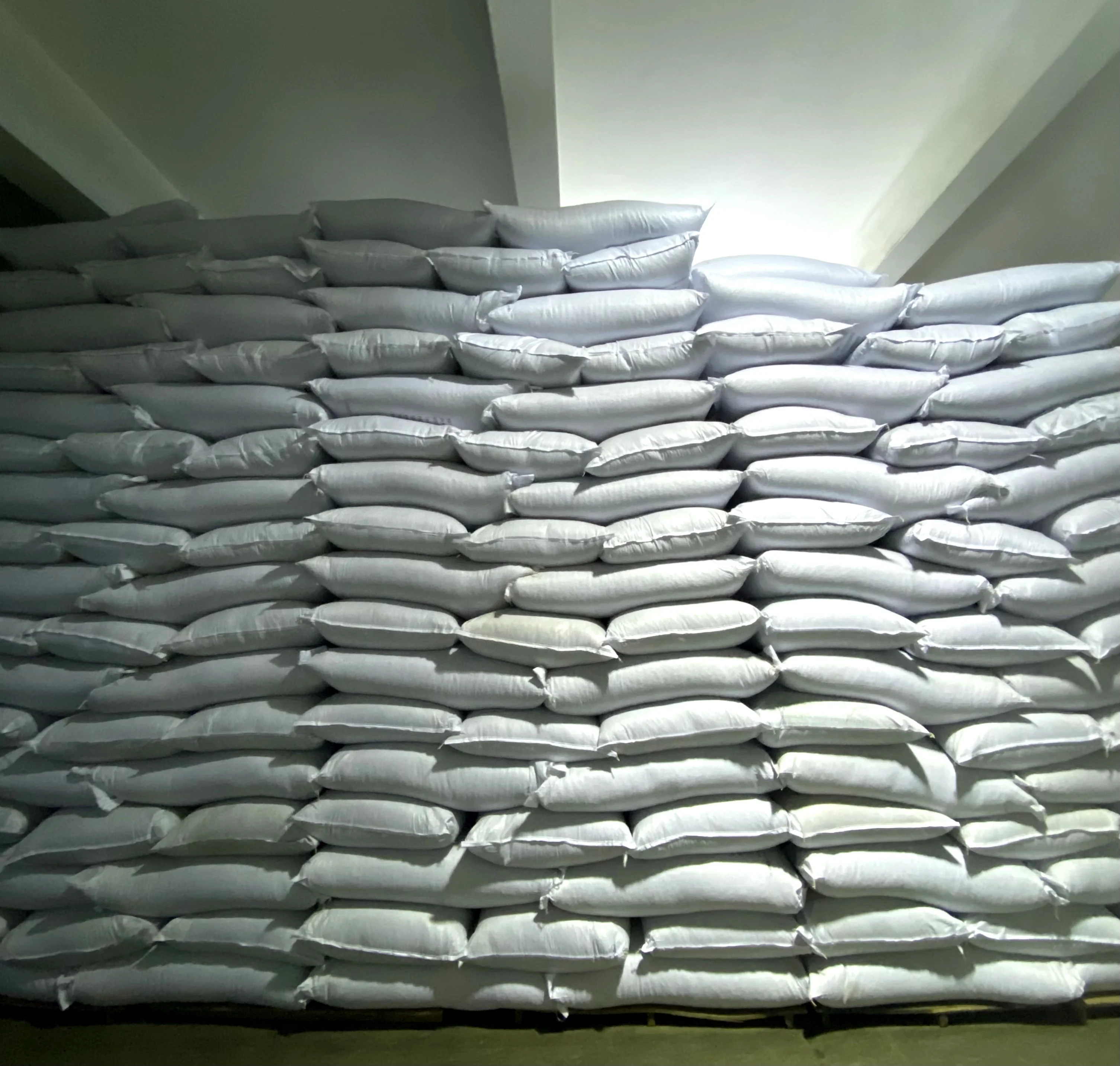 Gunpowder Green Tea Factory Wholesale Tea in Bulk