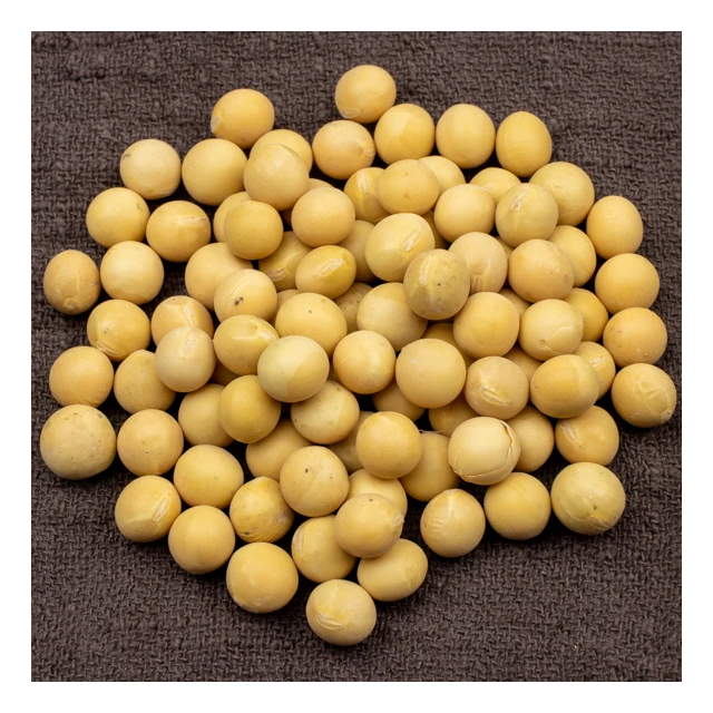 
2021 China soybeans organic Non-gmo soya beans oil seeds 