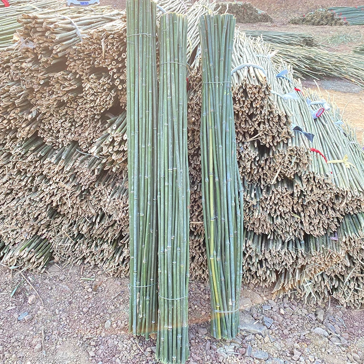 Tough Bamboo Poles For Making Walking Poles And Walking Sticks Raw Materials For Bamboo Hiking Poles