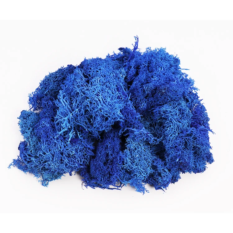 
Yunnan A Grade Dried Flowers Wholesale Lichen Preserved Moss For House Decoration 