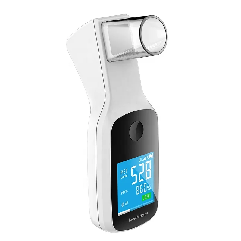 New product NS-B1 Color Display USB Portable Digital smart