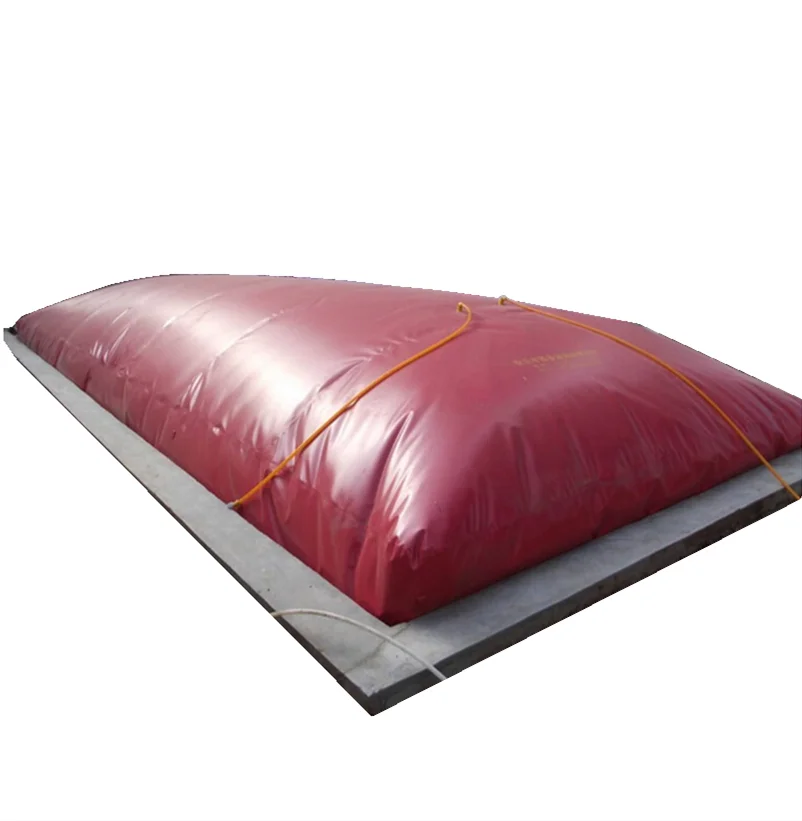 
factory price small size biogas plant for cow pig farm biodigester biogas digester system tank bag biogas power generation 