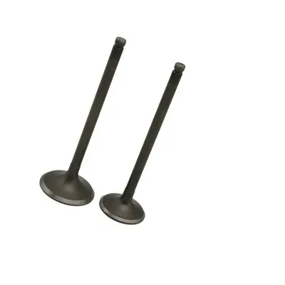 Durable Using Motorcycle Factories Spare Auto Parts Diesel Engine Car Part Intake and Exhaust Valves
