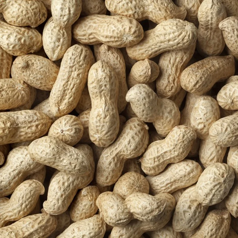 
Factory Supply High Quality Peanut in Peanut Shell And Kernel Price With Best Prices 