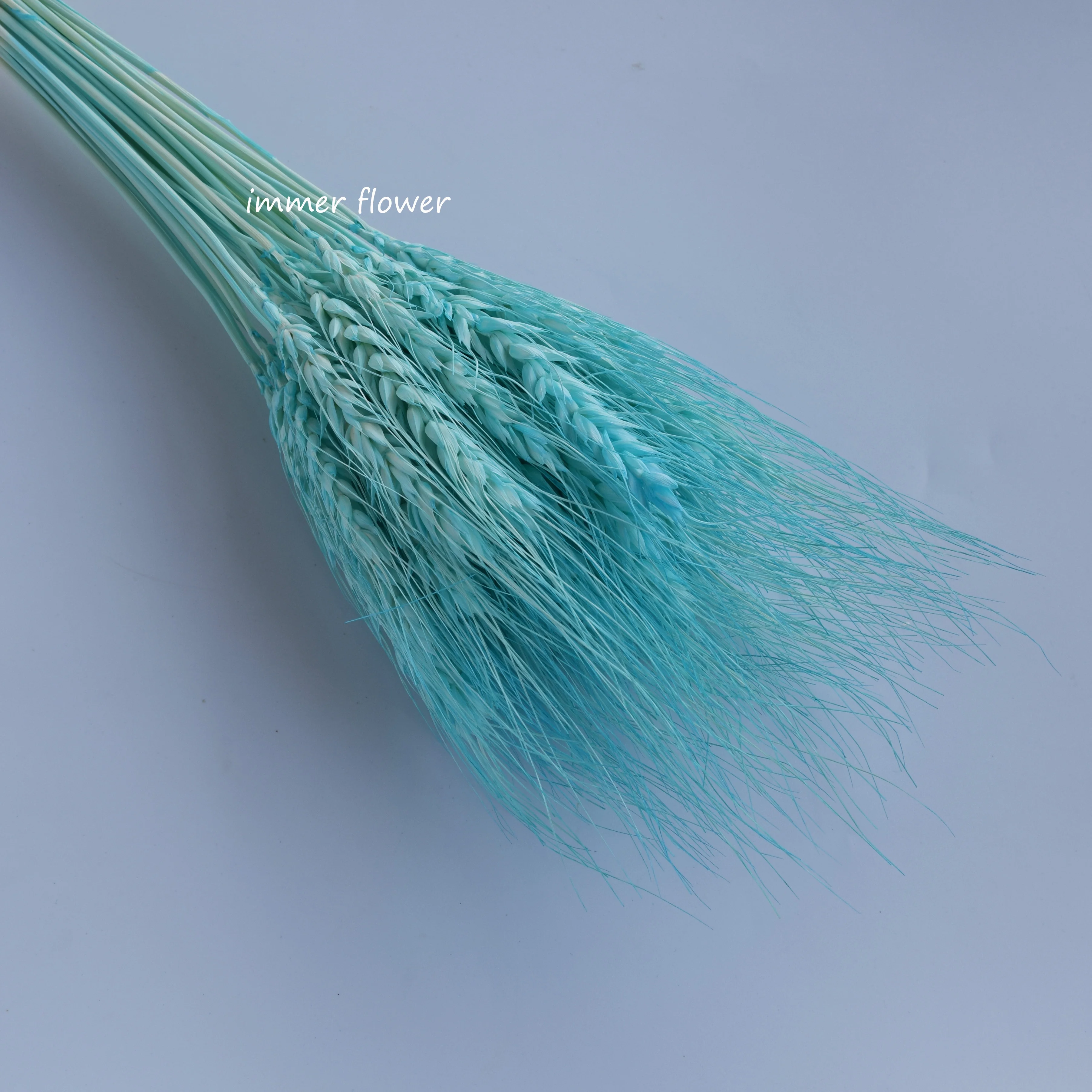 Dried Flower Dry Wheat China Supplier