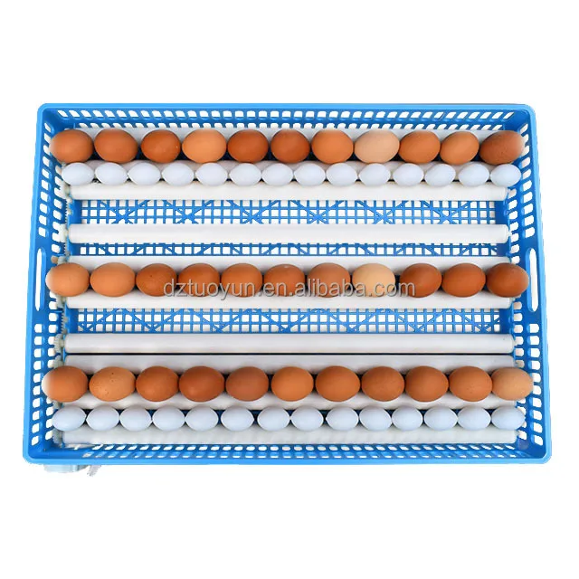 TUOYUN Good Quality Ac Dc High Safety Level 320 Eggs Fully Automatic 12v 220v Chicken Egg Incubator