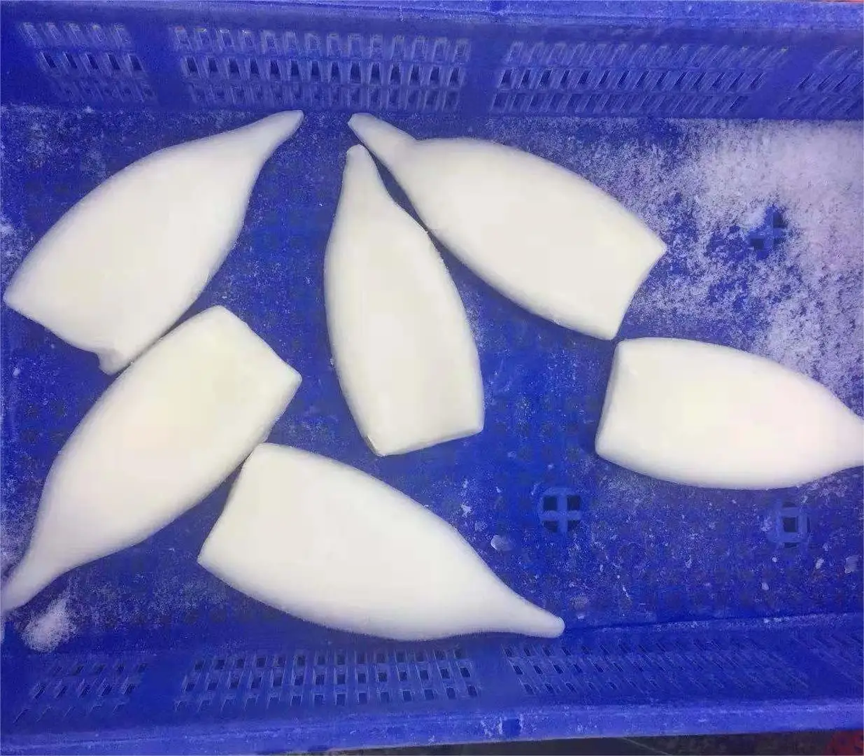 Good Quality IQF Squid Tube U10 Frozen Pacific Squid for Southeast Market