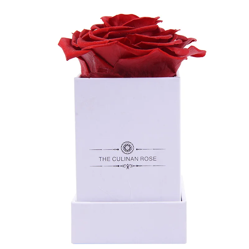 Culinan Low MOQ high quality preserved rose gift for Valentine Day