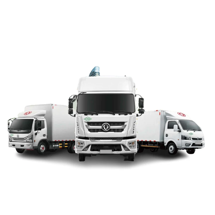Natural gas fuel euro 6 Environmental Friendly CNG delivery Truck