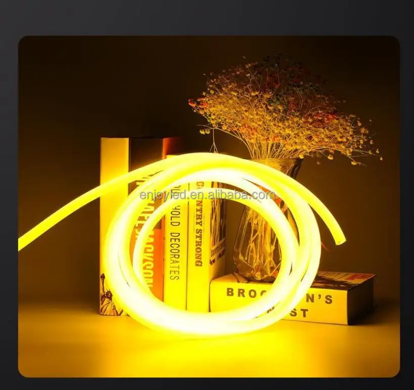 360 degree neon light -16.jpg