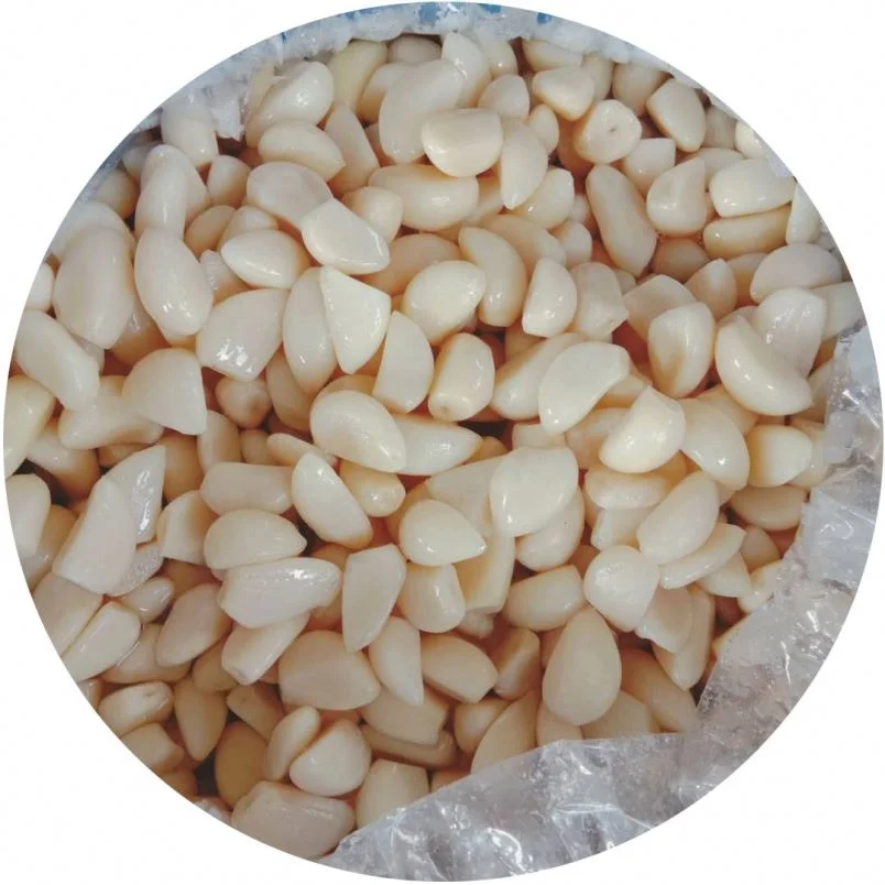 
Professional supply New Arrival healthy garlic distributor for sale 