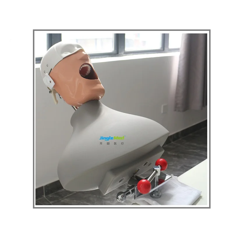 Medical manikin dental simulation student training dental phantom head model