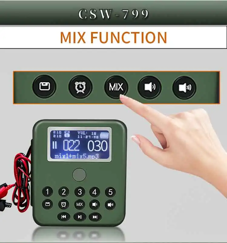 750CSW-799_07 - .jpg