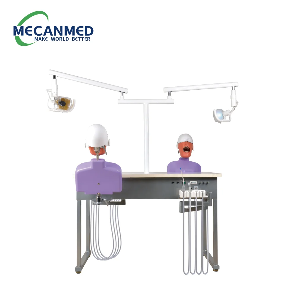 Top Quality Dental Education Manikins Dental Simulation Model Phantom Head Dentist Education Teach Studying Dental Simulator