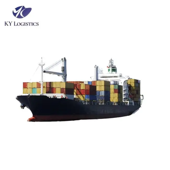 Denmark Shipping Agent Sea Freight Cargo Service from China to  Sea Shipping Agency DDP Logistics