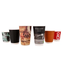 Disposable eco take away double wall coffee paper cups