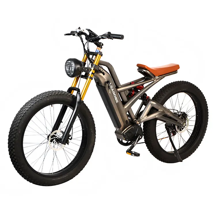 Best Price High Quality Manufacturer Grey Color 350/500/750/1000W Electric Bike Mountain Bike