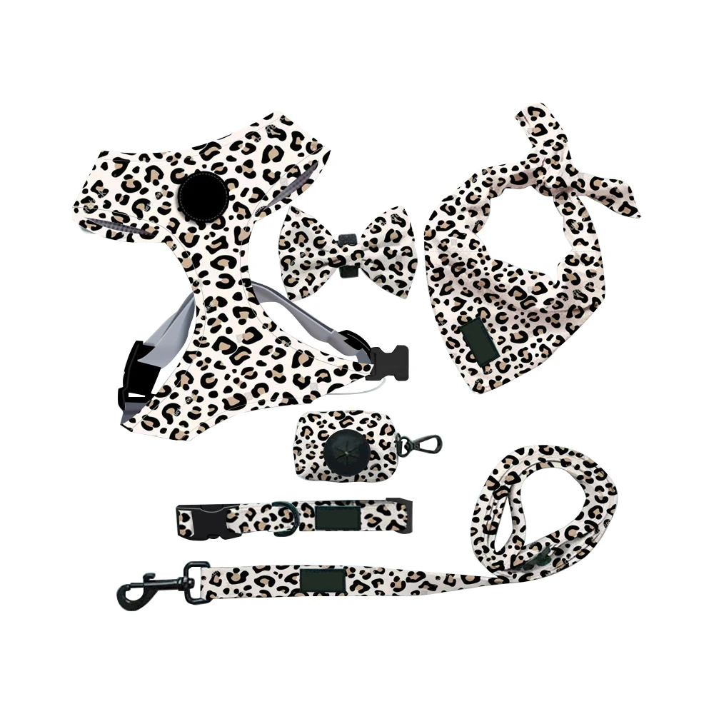 OEM/ODM Polyester Adjustable No Pull Pet Dog Leash Collar And Harness Set RTS