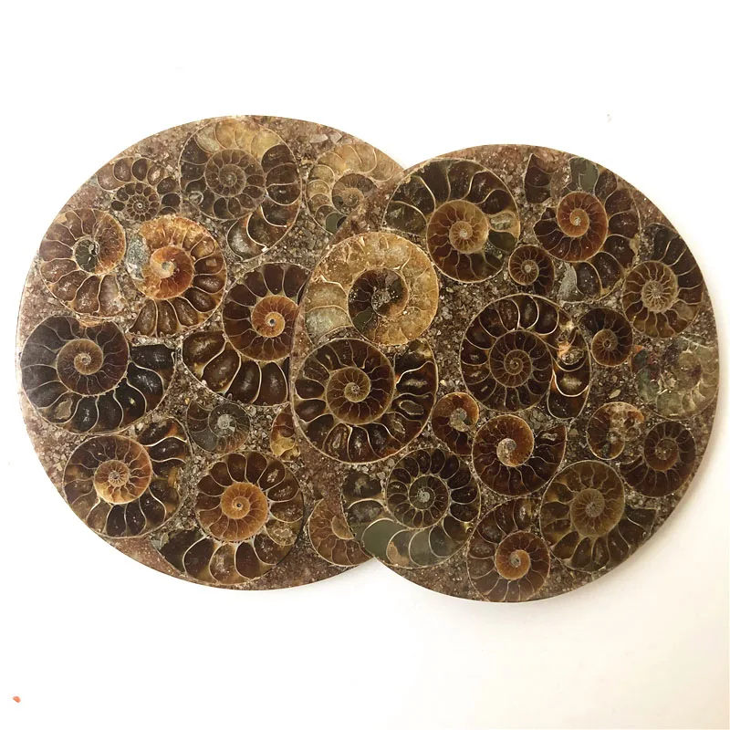 natural Madagascar ammonite plate coaster mineral specimens fossils feng shui compass for decoration