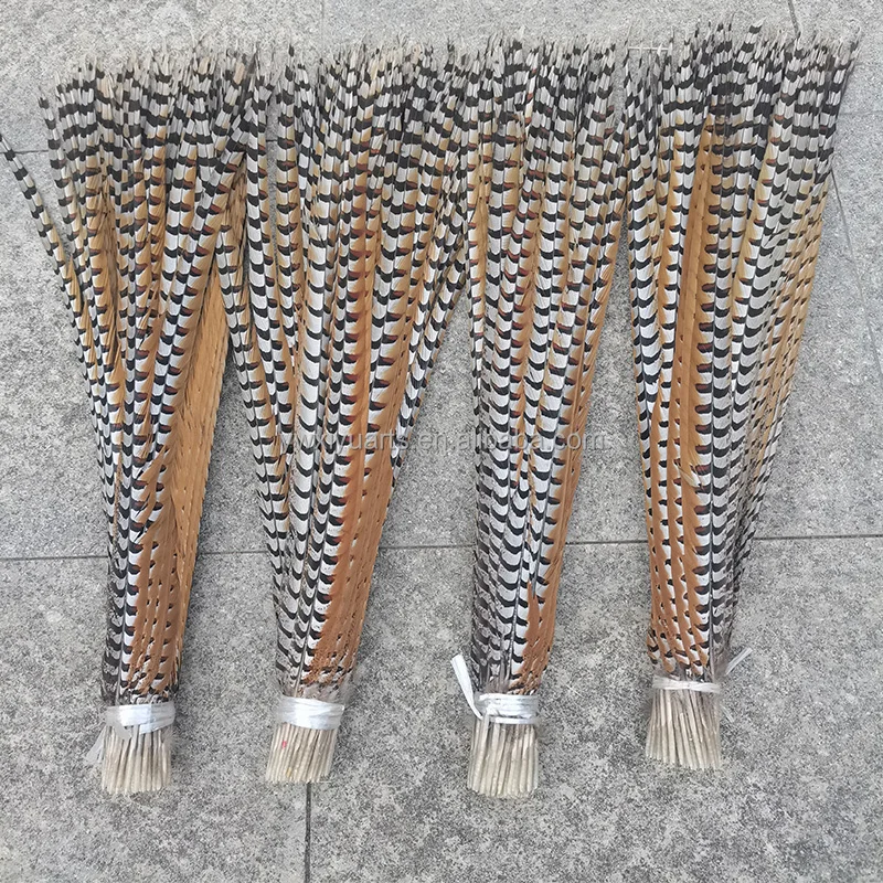 Natural Pheasant Feathers 10-160 cm Long Reeves Pheasant Tail Feathers for Carnival