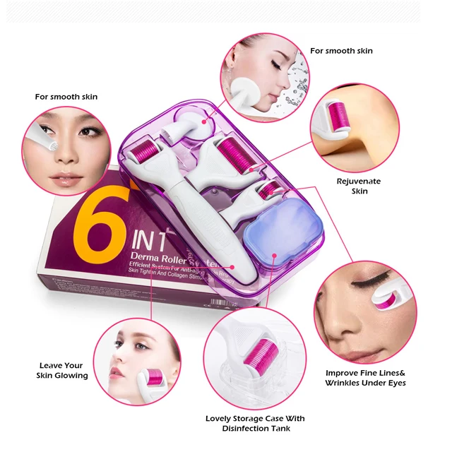 Newest 6 in 1 derma roller microneedle roller for most of skin problems