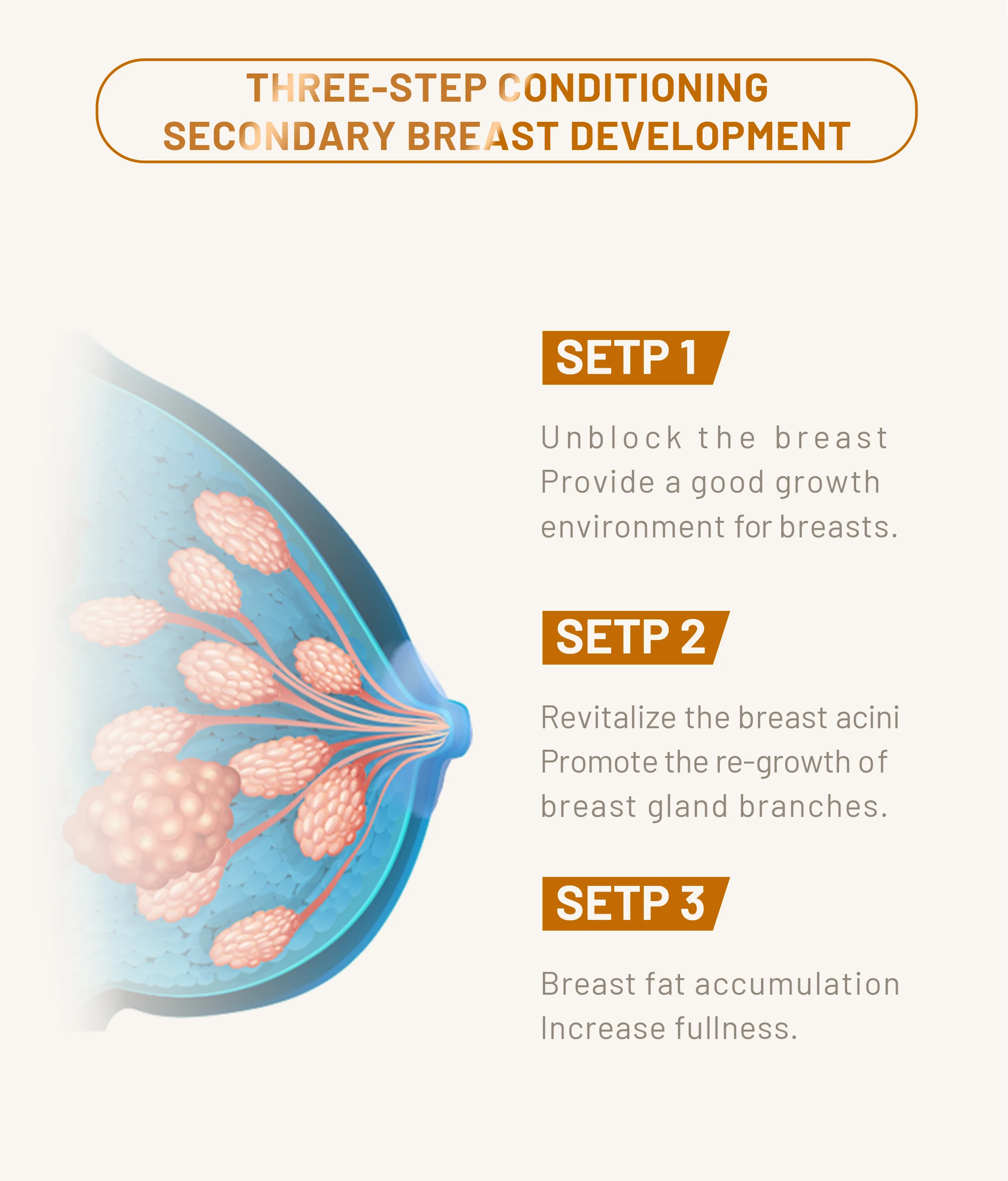 
Natural Organic Shape Firming Enlarge Development Cream Beauty Breast Massage Oil 