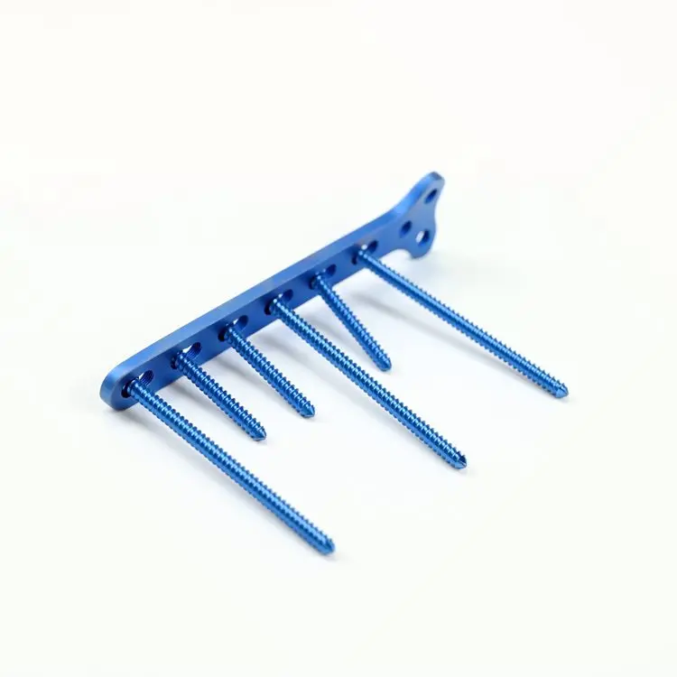 Low price veterinary plate orthopedic implants AO T type plate for animal