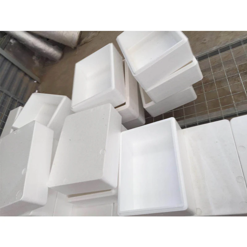 EPS Raw Material Foam Box for Heat Insulation for Fresh Food Transportation