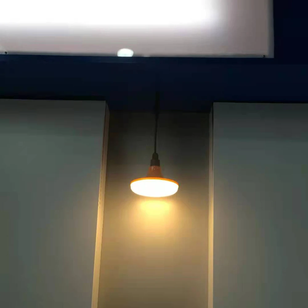 High Cost Performance Led Lights For Animal & Poultry Husbandry Automatic Dimming Lights