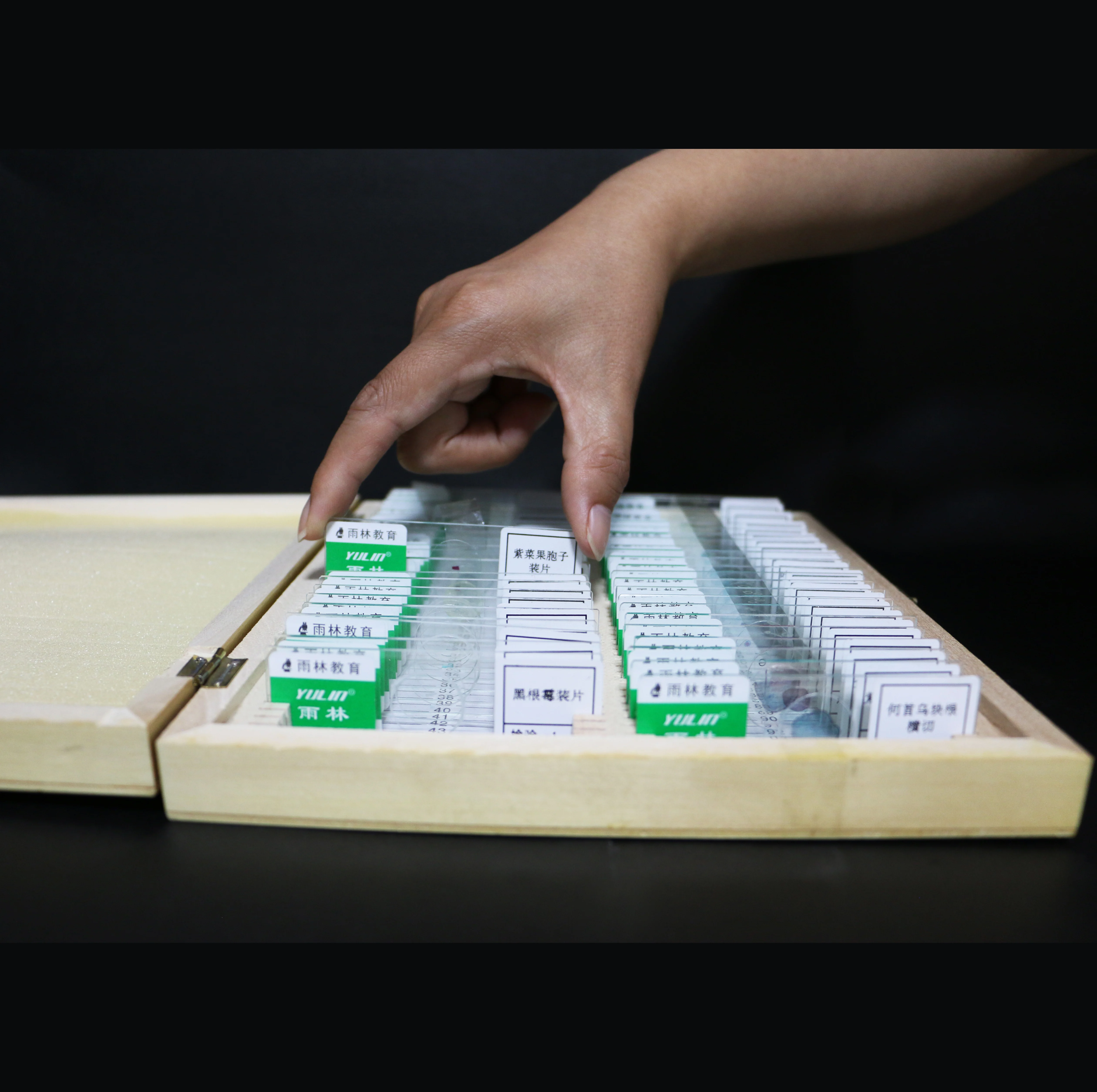 50 шт. деревянный ящик медицинский контроль уровня Oral Гистология человека Стоматологическая микроскоп подготовлены шлепанцы без задника с открытыми пальцами для биологической стоматологическое лабораторное оборудование