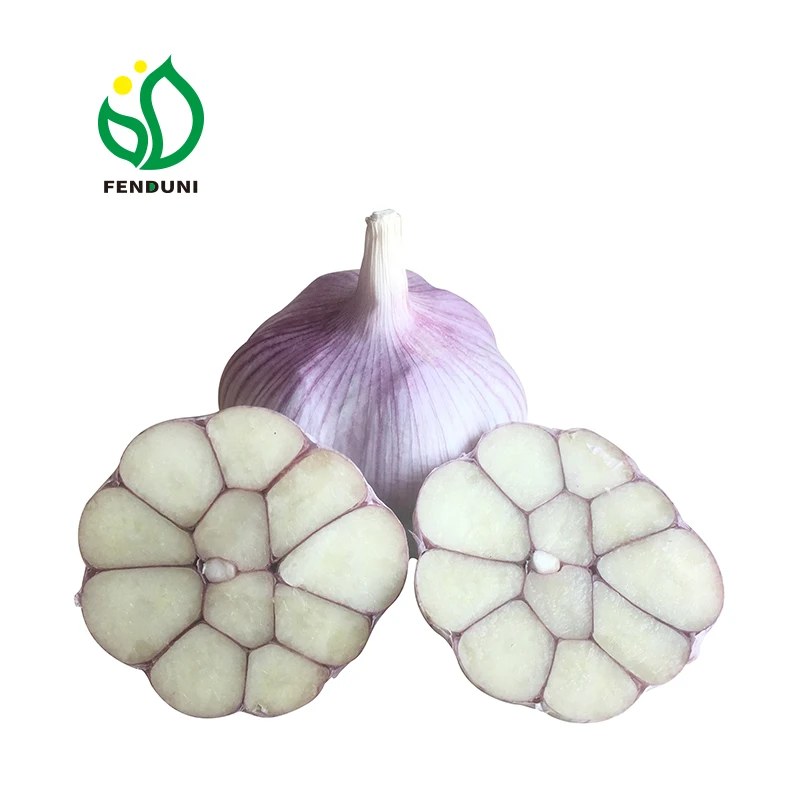 Chinese Pure White Garlic/ Bawang Putih , Hot Sale  New Crop