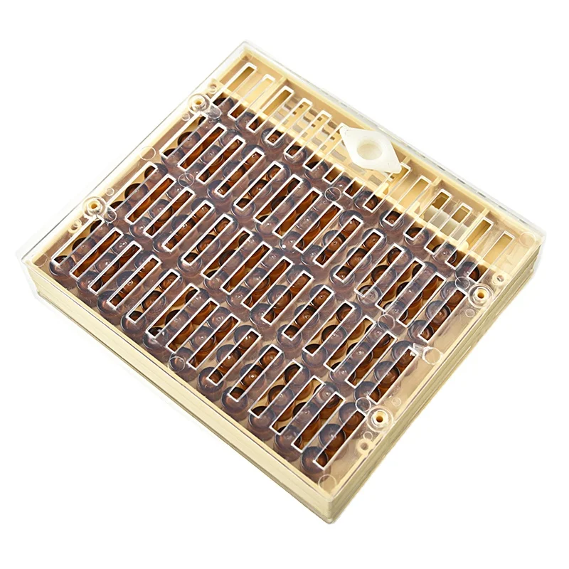 Коробка для вывода пчеловодства из Китая