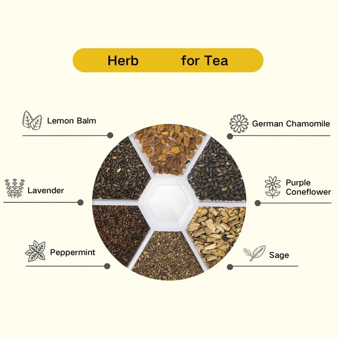 Organic 12 Variety Herb & Tea Seed Kit for Floor Usage with Artificial Flowers Made from Crystal Material