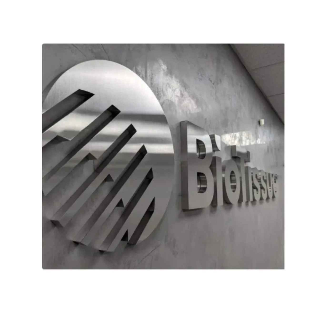 Wall Decor Illuminated Custom Logo Sign 3D Backlit Metal  Logo Sign for Business