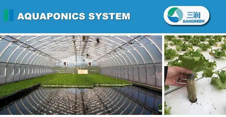 
China Supplier High Tunnel Greenhouse Aquaponic Equipment 