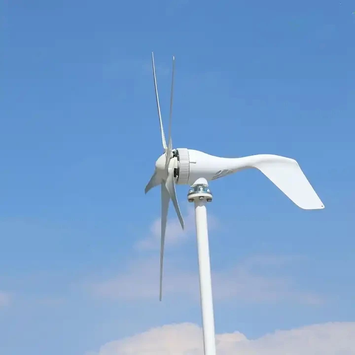 Overseas warehouse 12V 24V 48V home wind turbine 1kw wind turbine generator for Energy Windmill Power Generation