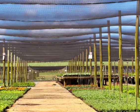 Shade Fabric Sun Shade Netting Privacy Screen with Reinforced Grommets for Greenhouse, Patio, Privacy Screening, Wind Break,