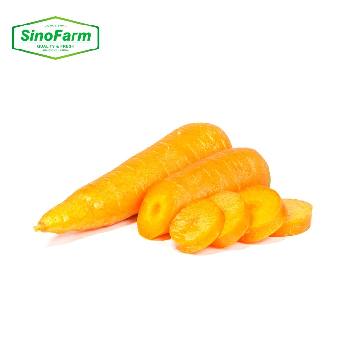 New Crop Fresh Organic Vegetables Wholesale Carot/carrot Seeds Price of Carrots in Bulk for Export