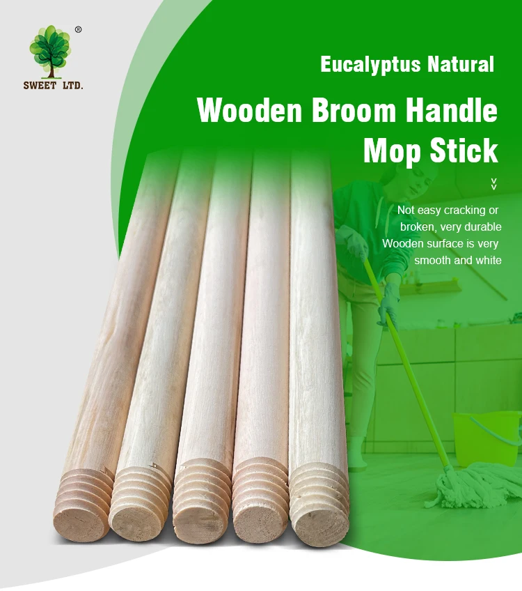 PVC Broom Head Mop Stick Plastic and Eucalyptus Wood Stick Household Floor Brooms with Dustpan for Home Use