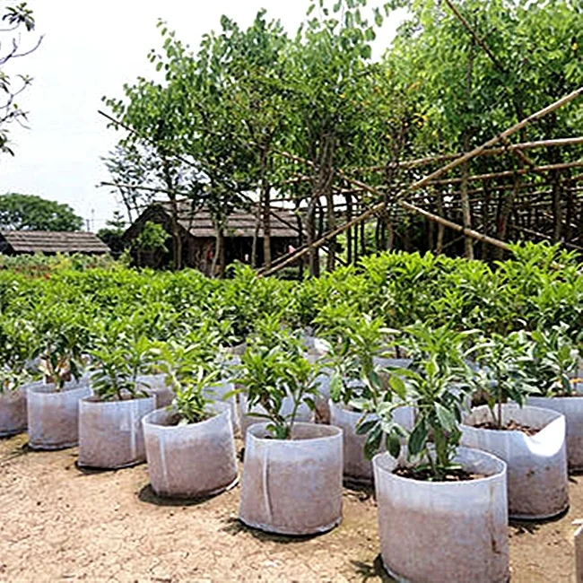 
Factory Outlet wholesale agriculture non woven 100% biodegradable plastic seedlings bags 