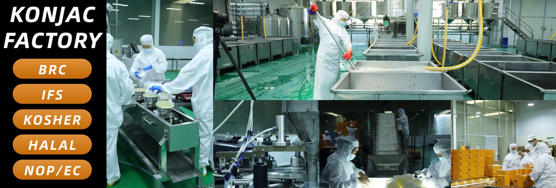 Healthy Instant Dried Shirataki Rice Low GI Fat Free Sugar Free